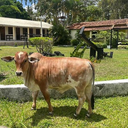 Hotel Fazenda Ceu Aberto Gravatá Zewnętrze zdjęcie
